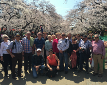 Team photo amongst the cherry blossoms